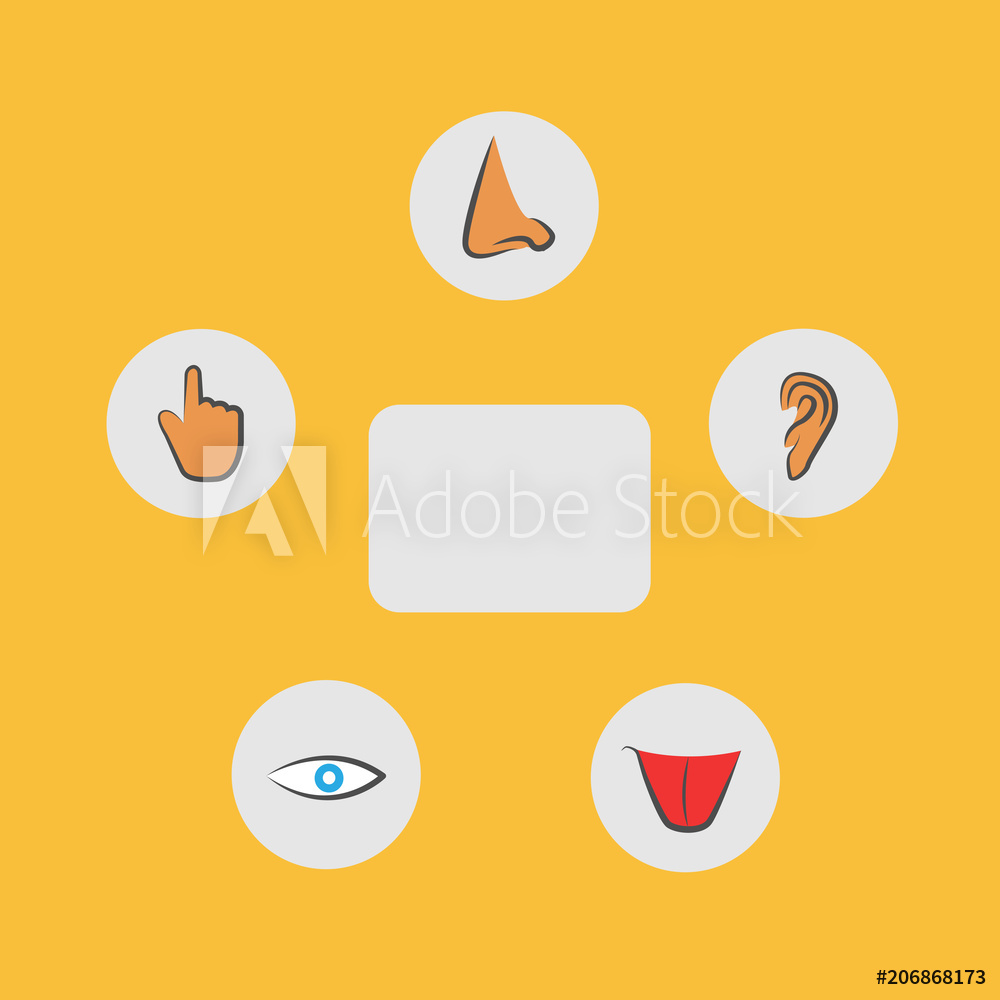 1000x1000 Photo Art Print Five Senses Vector Illustration Europosters