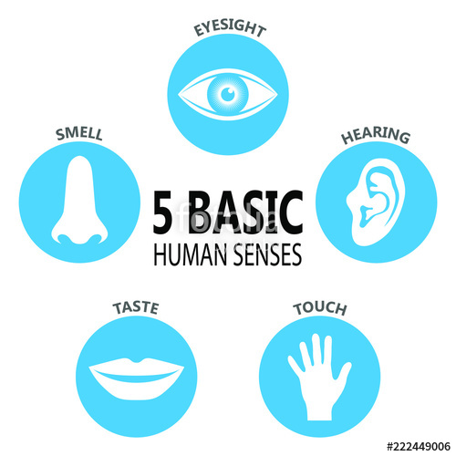 500x500 Poster Five Basic Human Feelings Set Icons The Five Senses