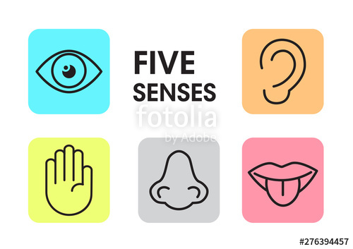 500x353 Five Human Senses, Vector Illustration Stock Image And Royalty
