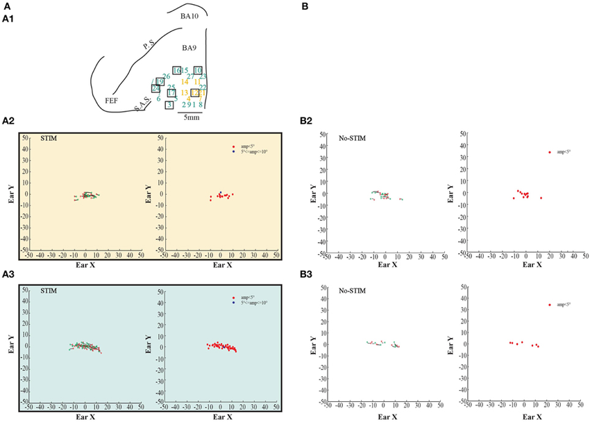 850x608 Example Of Fixed Vector Ear Movements