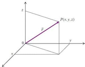 300x236 Different Types Of Vectors In Physics With Examples