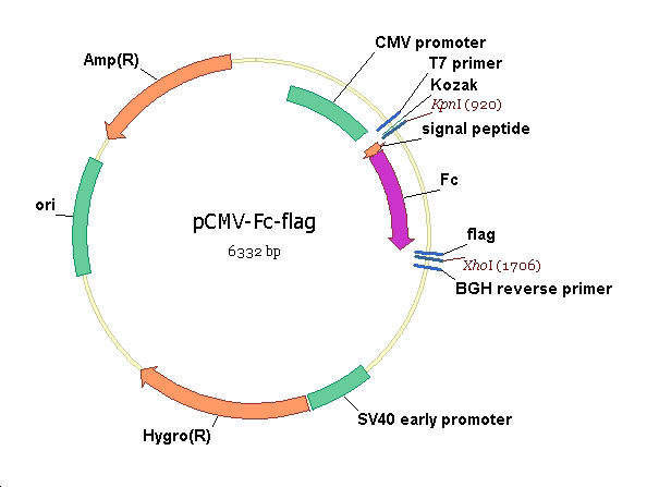 html flag tag