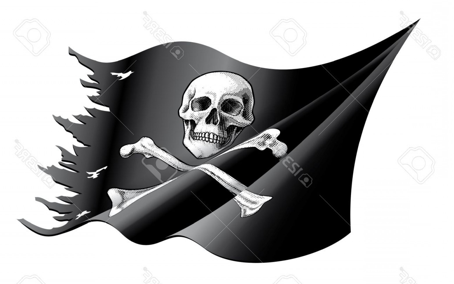 1560x976 Photostock Vector Vector Illustration Of A Waving And Torn Pirate