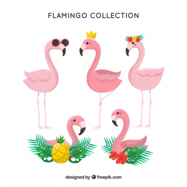 626x626 Flamenco Vectors, Photos And Free Download