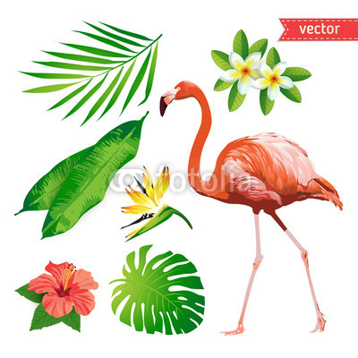400x400 Conjunto De Flores Tropicales, Hojas Y Aves Flamenco Vector
