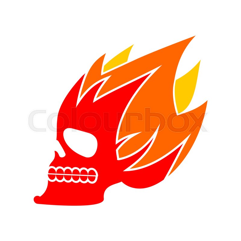 800x800 Skull Fire Head Skeleton Flame Stock Vector Colourbox