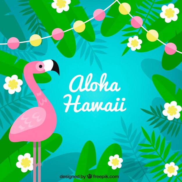 626x626 Flamingo Aloha Background Vector Free Download