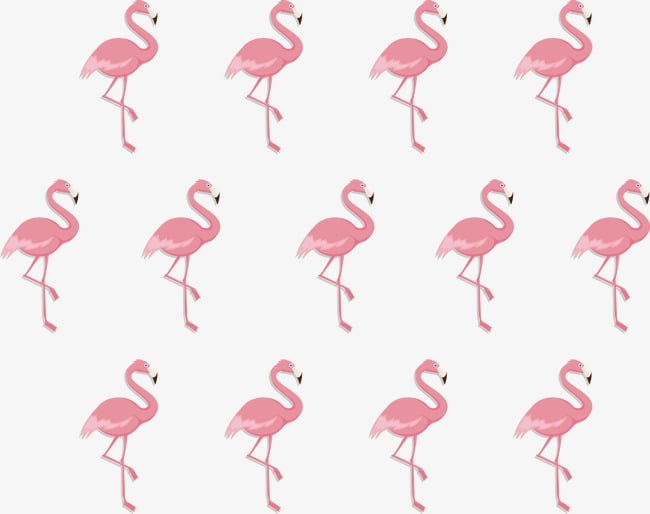 650x514 Flamingo Standing On One Leg Seamless Background Vector