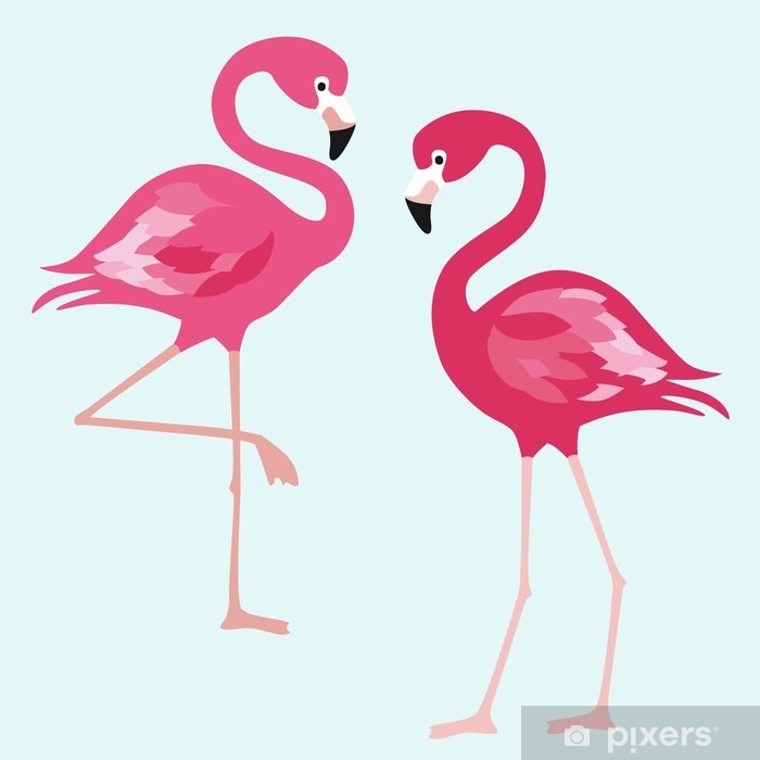 700x700 Flamingo Exotic Birds On White Background Vector Trendy