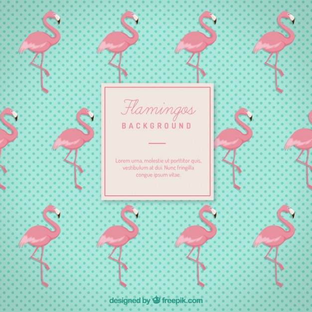 626x626 Flamingos Background Vector Free Download