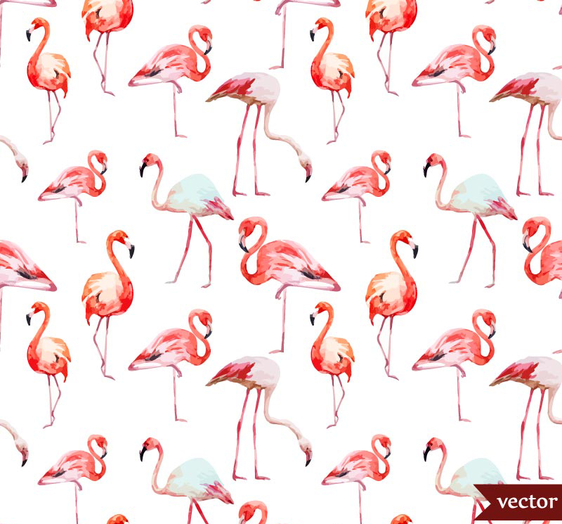 800x745 Free Vectors Download Free Vector Art Free Vector Graphics