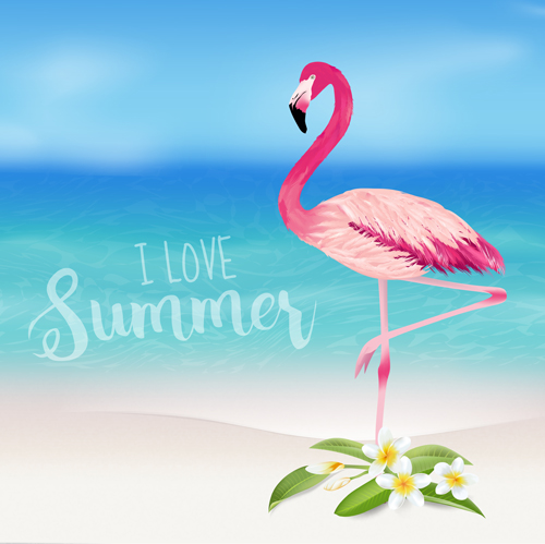 500x499 Sea And Plumeria With Flamingo Background Vector Free Download