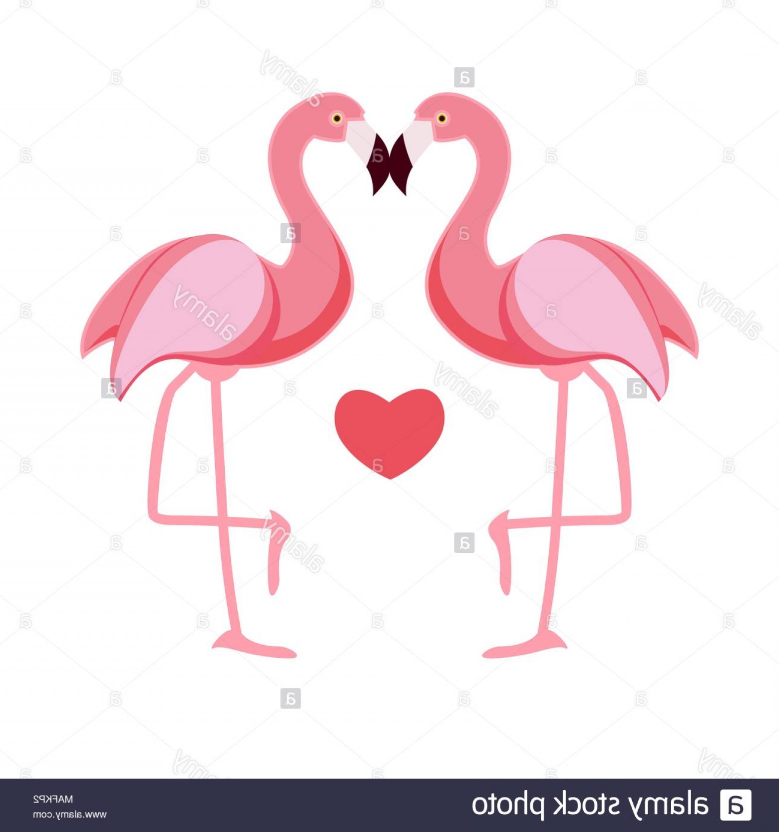 1560x1666 Cute Flamingo Love Background Vector Illustration Image Newwaysys