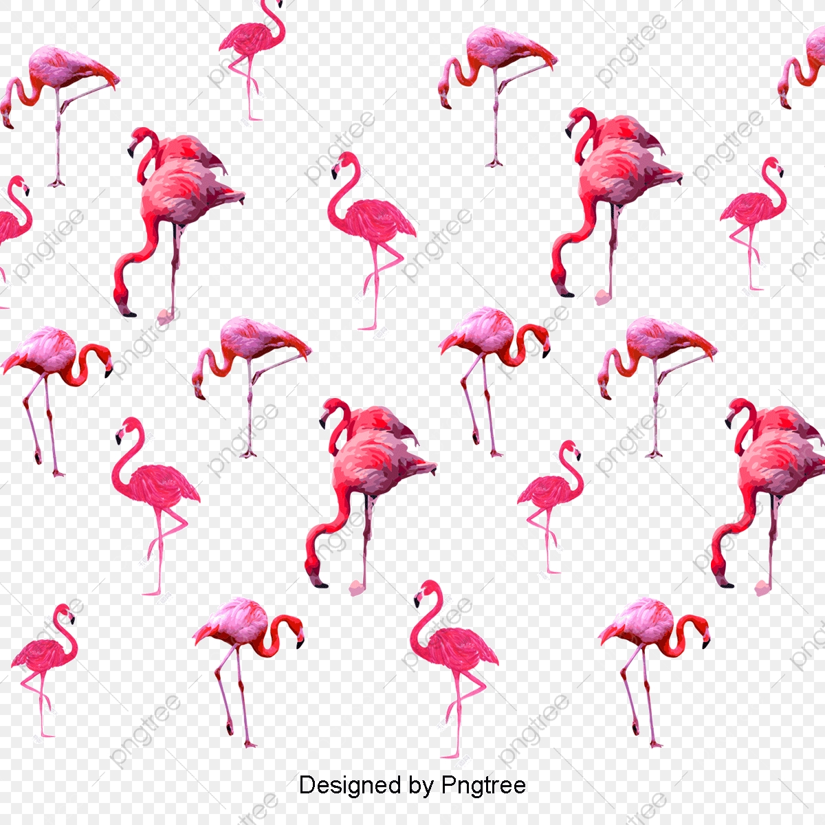 1200x1200 Watercolor Seamless Background Vector Flamingo, Drawing Flamingos