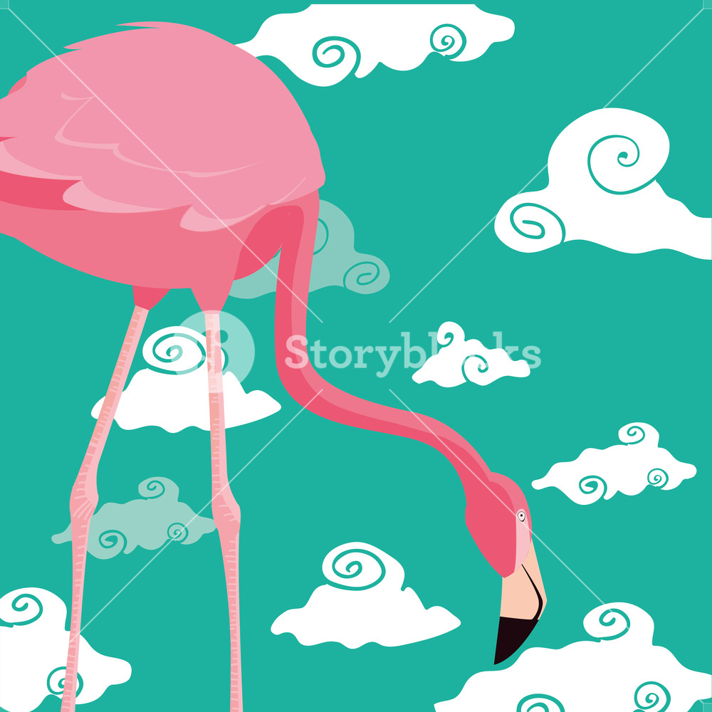 1000x1000 Cute Flamingo Sky Clouds Background Vector Illustration Royalty