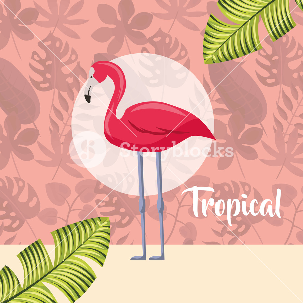 1000x1000 Tropical Leaves Plants Flamingo Circle Background Vector