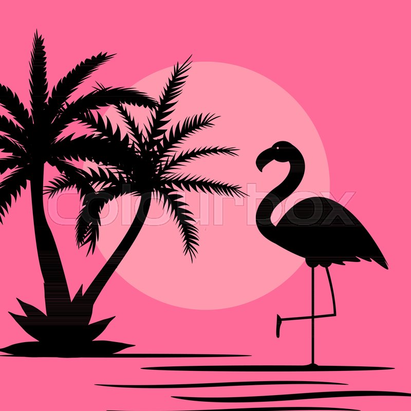 800x800 Cute Pink Flamingo Background Vector Stock Vector Colourbox