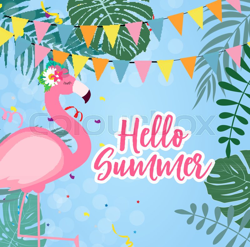 800x792 Cute Pink Flamingo Hello Summer Stock Vector Colourbox