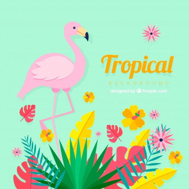 626x626 Flamingo Background Vectors, Photos And Free Download