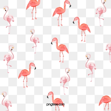 360x360 Flamingo Png, Vector, And Clipart With Transparent Background