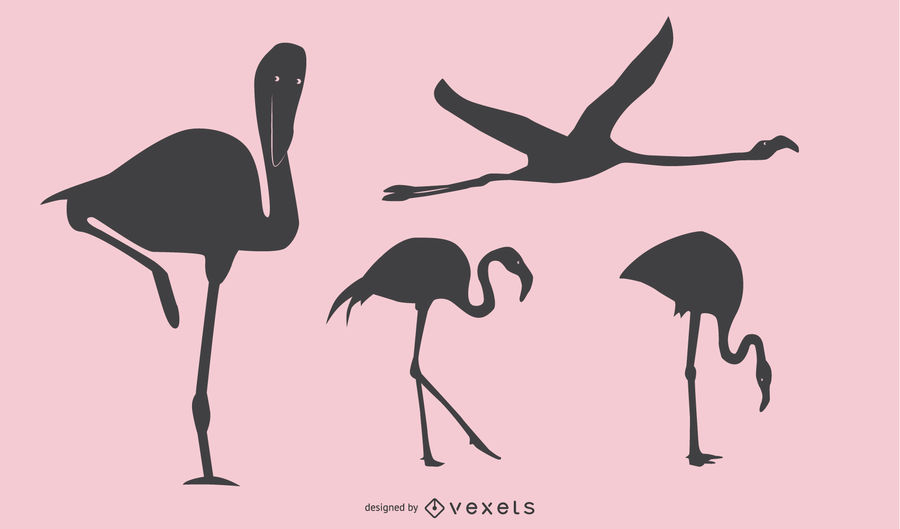 900x529 Flamingo Silhouette Design