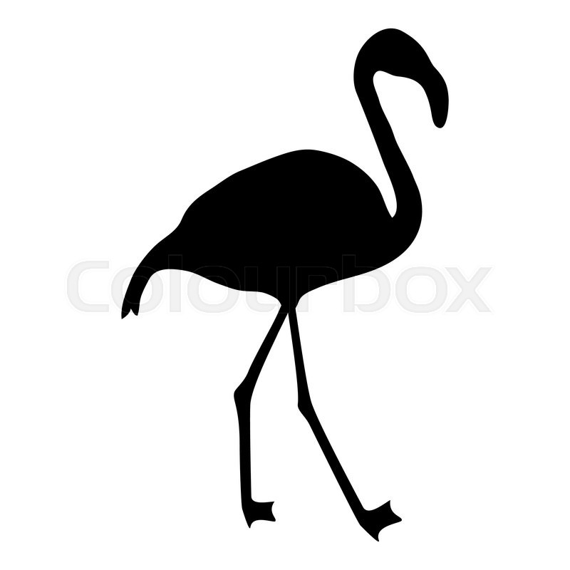 800x800 Flamingo Silhouette On A White Stock Vector Colourbox