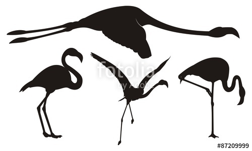500x300 Flamingo Silhouette Set Vector Illustration Stock Image