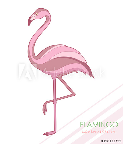 429x500 Flamingo Silhouette Of Flamingos A Tropical Bird Vector
