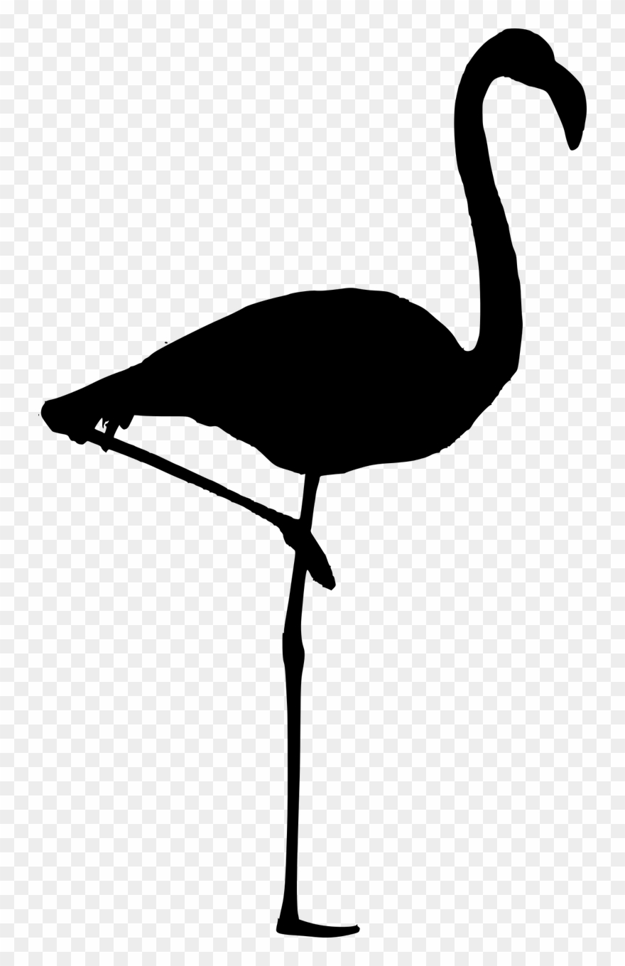 880x1360 Silhouette,flamingo Isolated,free Vector