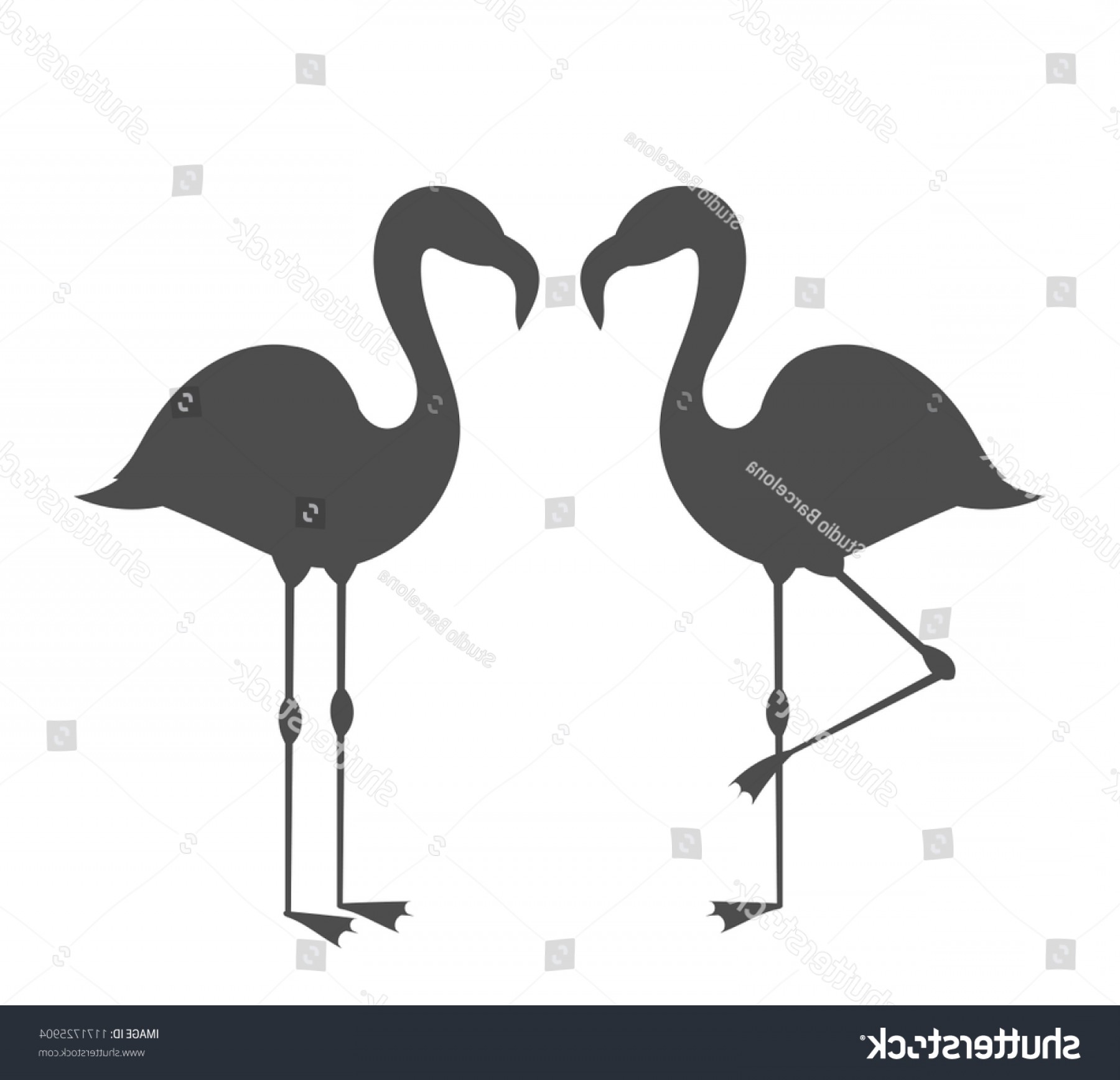1800x1735 Couple Flamingos Silhouettes Vector Illustration Cqrecords