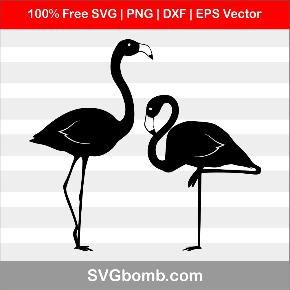 1002x1002 Flamingo For Cricut