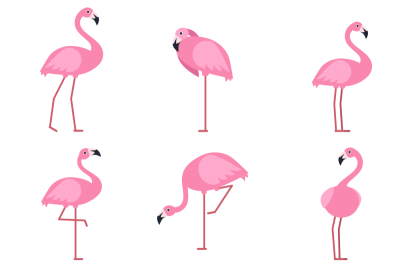 400x267 Flamingo Png