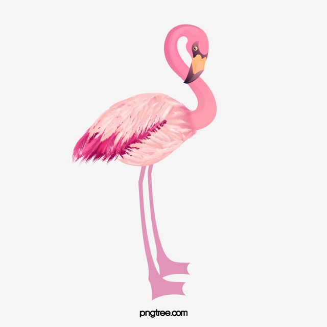 640x640 Flamingo Png, Vector, And Clipart With Transparent Background