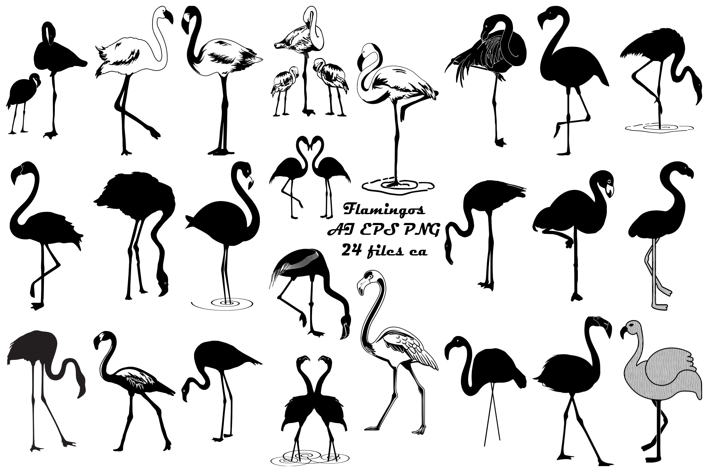 2400x1600 Flamingo Vector Silhouettes Png