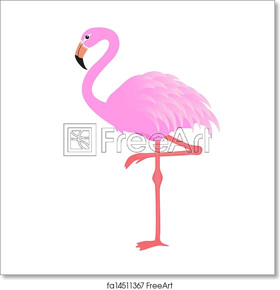 561x581 Free Art Print Of Flamingo Vector Freeart