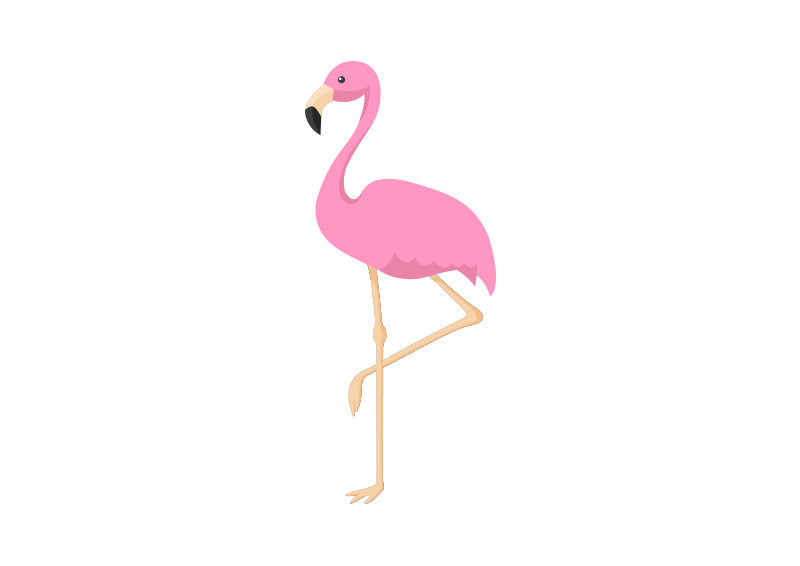 800x566 Pink Flamingo Vector Illustration