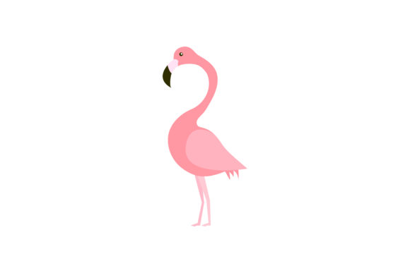 580x387 Pink Flamingo Vector Graphic