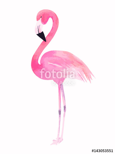 375x500 Watercolor Pink Flamingo Vector Illustration Stock Image