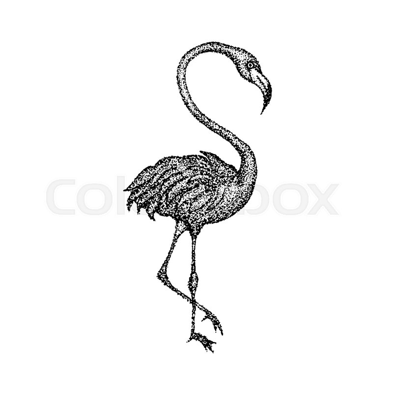 800x800 Dotwork Pink Flamingo Vector Stock Vector Colourbox