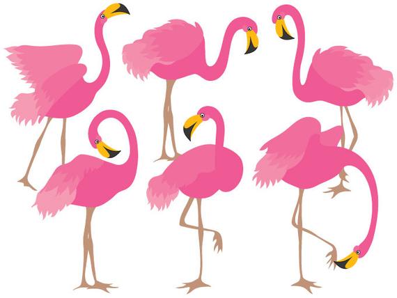 570x428 Flamingo Clipart Digital Vector Flamingo Bird Exotic Etsy