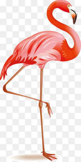 260x517 Flamingo Png Free Flamingo Transparent Images