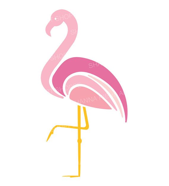 570x627 Flamingo Clipart Vector For Free Download And Use Images