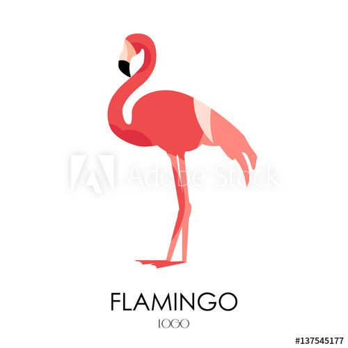 500x500 Flamingo Vector Icon Logo Flat Design Frivolous Flamingos
