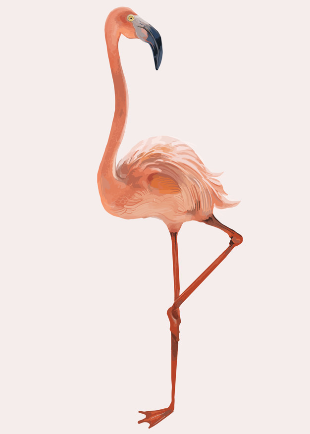 626x876 Hand Drawn Pink Flamingo Vector Free Download