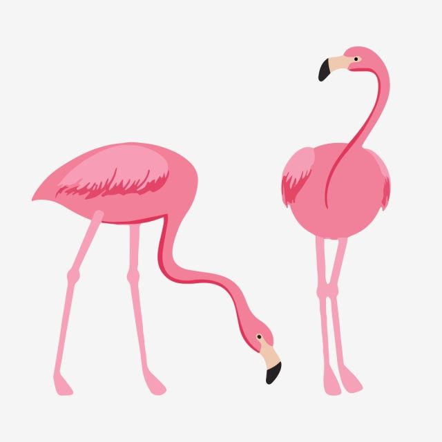 640x640 Millions Of Png Images, Backgrounds And Vectors For Free Download