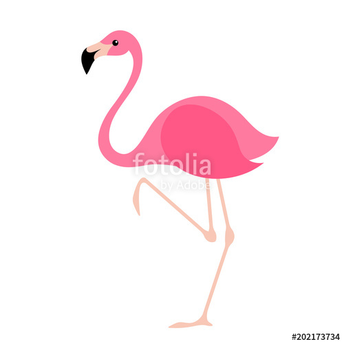 500x500 Pink Flamingo Vector Illustration Stock Image And Royalty Free