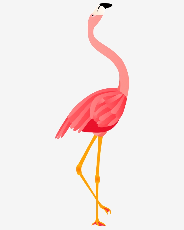 Flamingo Vector Free at Vectorified.com | Collection of Flamingo Vector ...