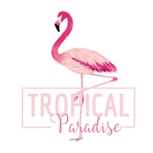 500x500 Watercolor Flamingo Vector Background Adobe Illustrator