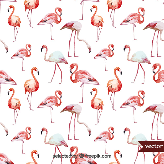 626x626 Watercolor Flamingos Vector Free Download