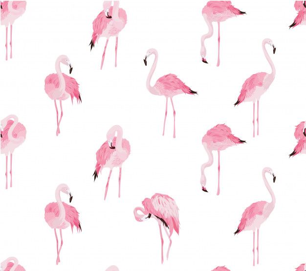 626x556 Seamless Flamingo Pattern Premium Vector Podacha Fsh